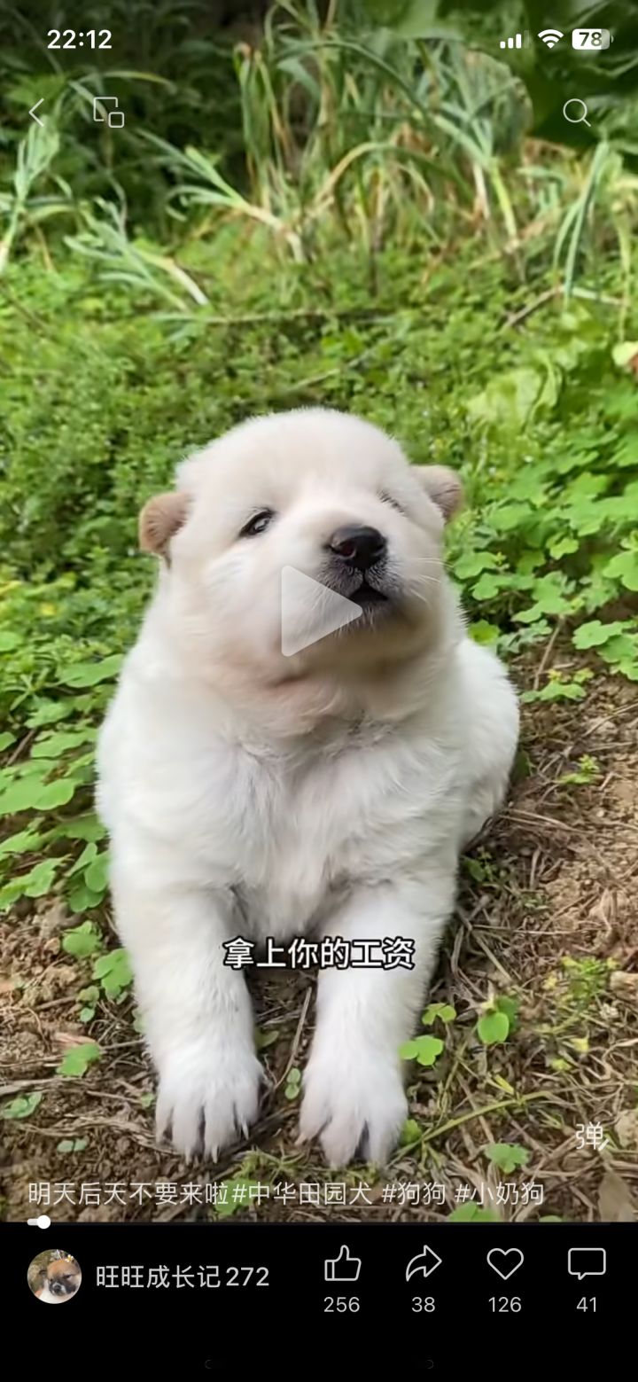 法师擎电石头截图