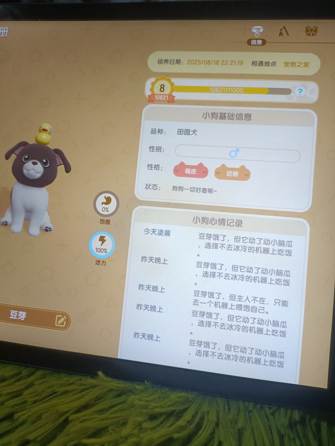 鸡肋,毁灭吧!!! 3