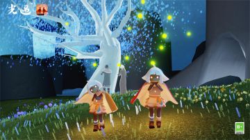 蓝樱见喜 萤火共祈｜在秘密花园许下心愿吧