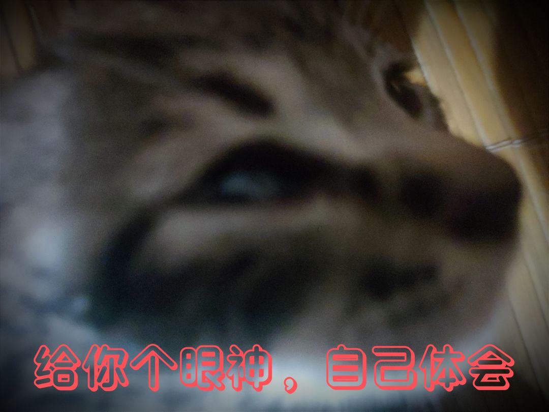 太多氪金的了 1