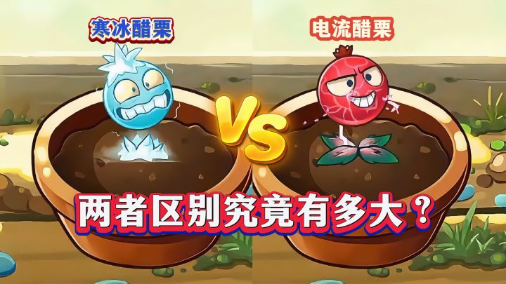 寒冰vs电流,同样是醋栗,两者区别你真的知道吗?截图