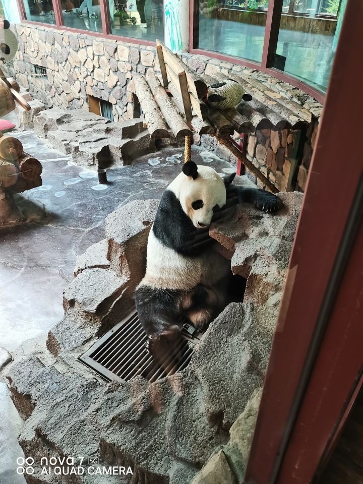 刻七会掉珍品装备吗,求知截图