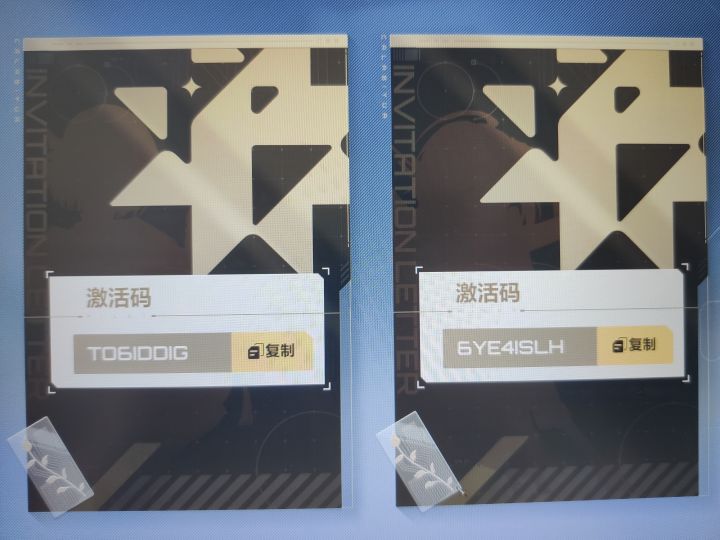 两个激活码截图