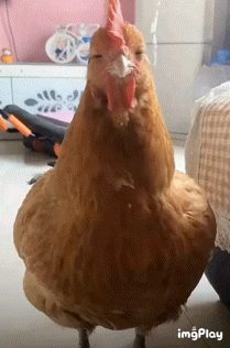 技能灵感截图
