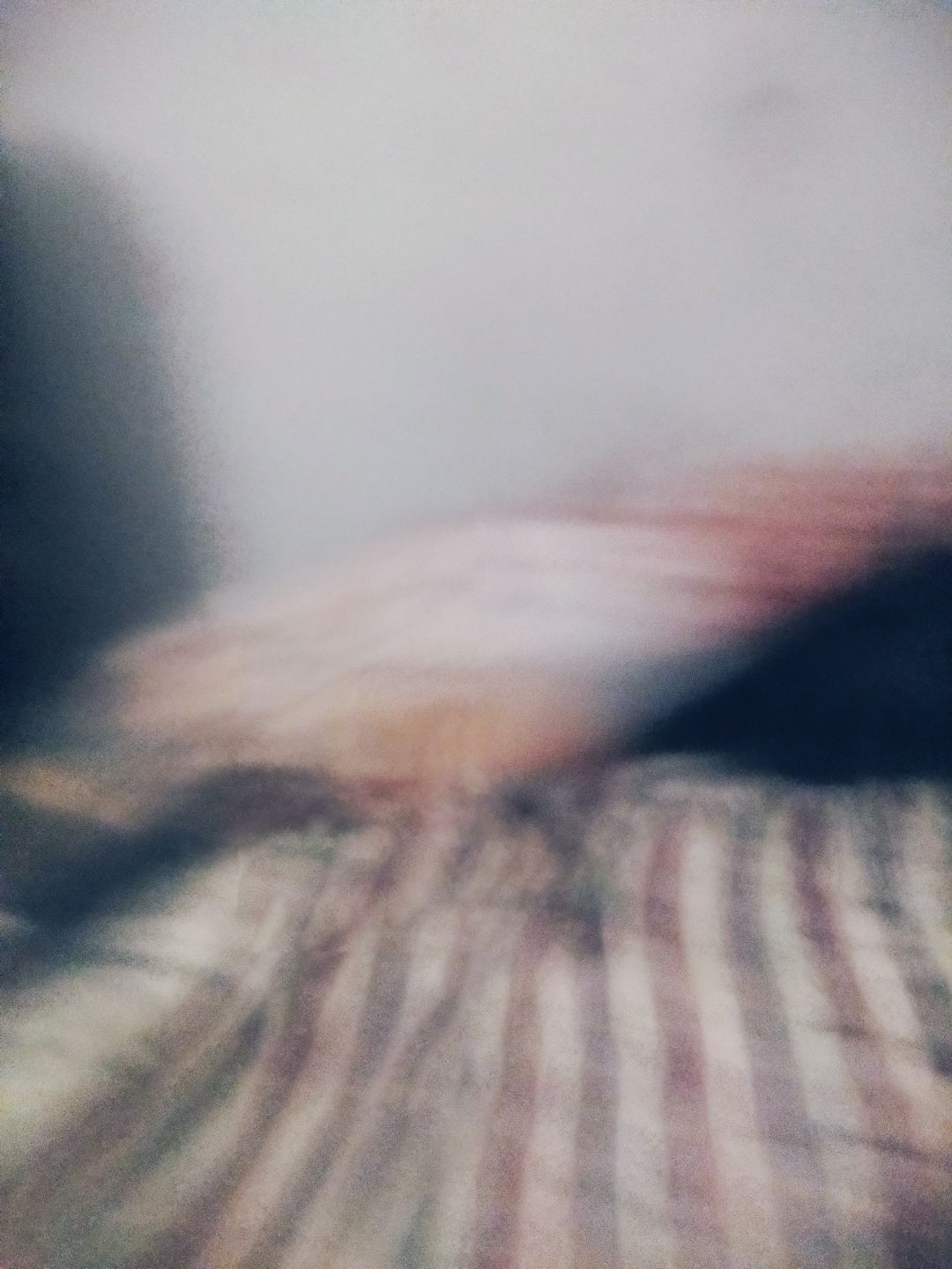 动态图片 16