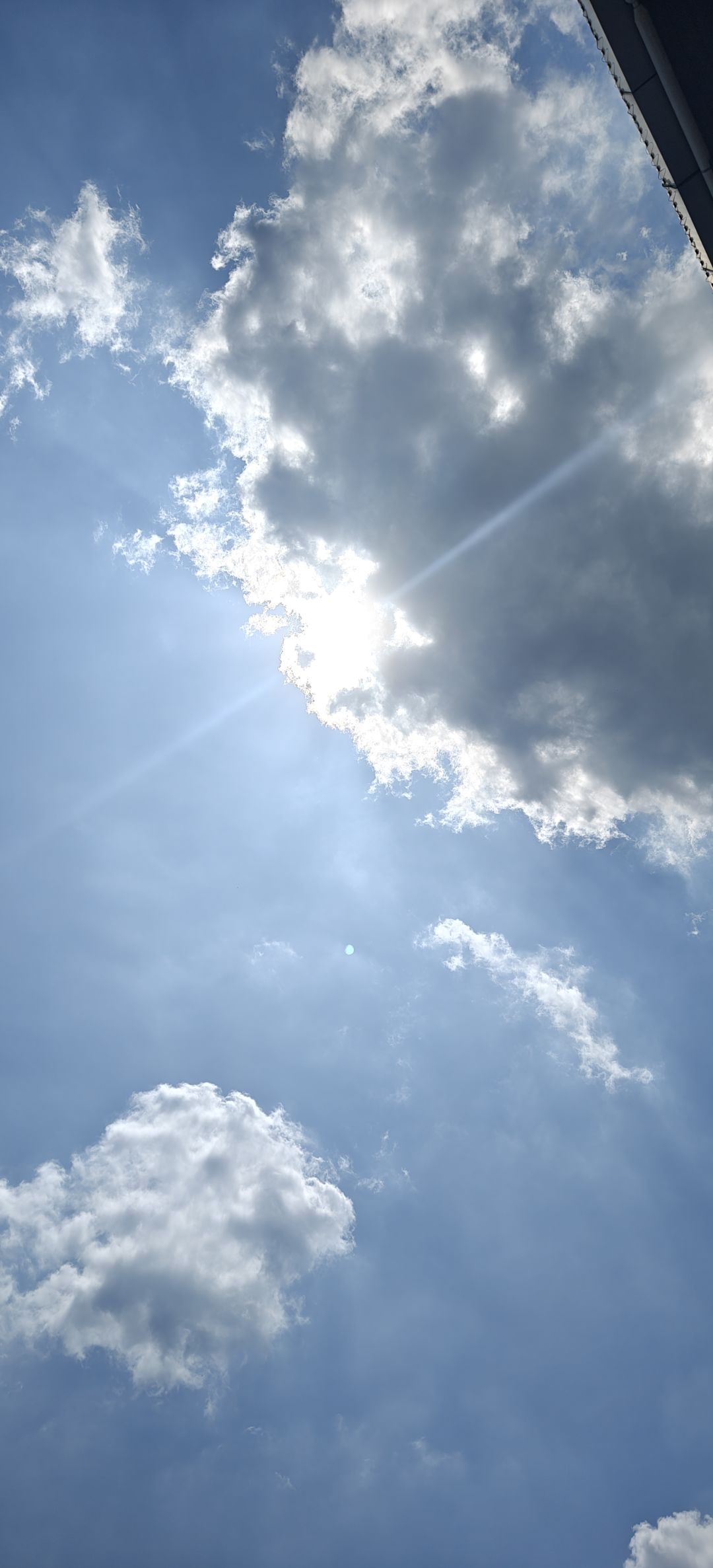 园中花3000*6=18000血滴石抽up没中 1
