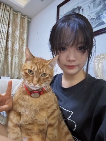 不会玩？新手攻略