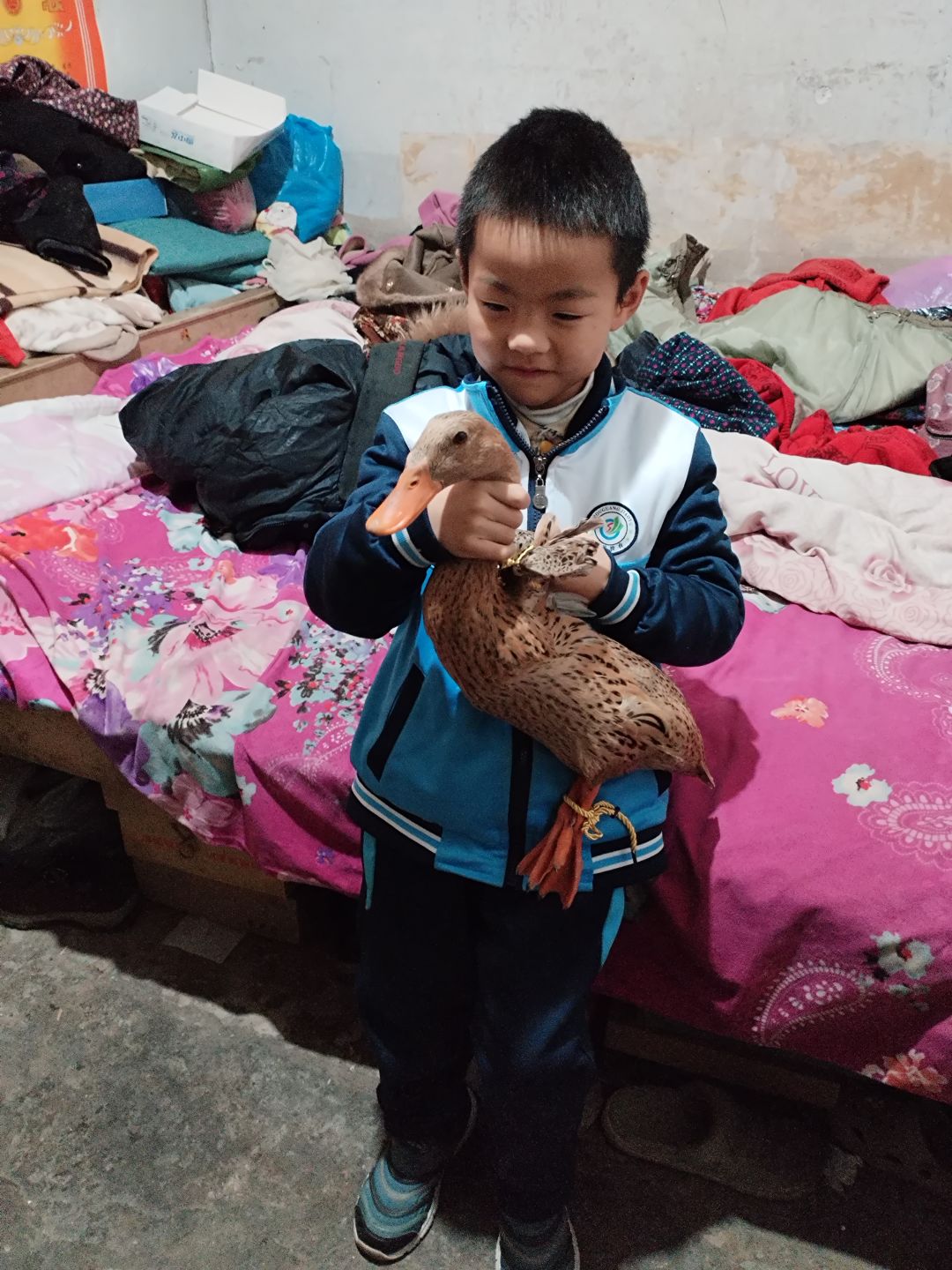 动态图片 3