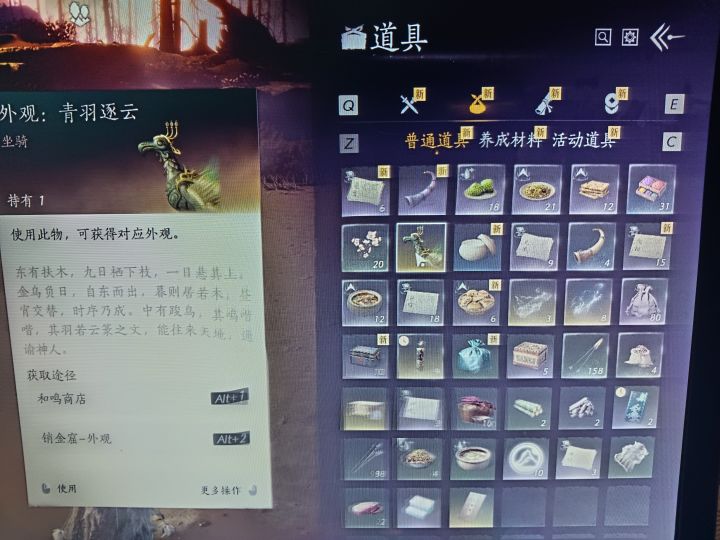 感谢燕子截图