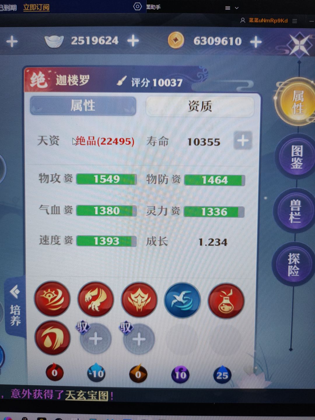 萌新问下这第二只迦楼罗怎么打书 2