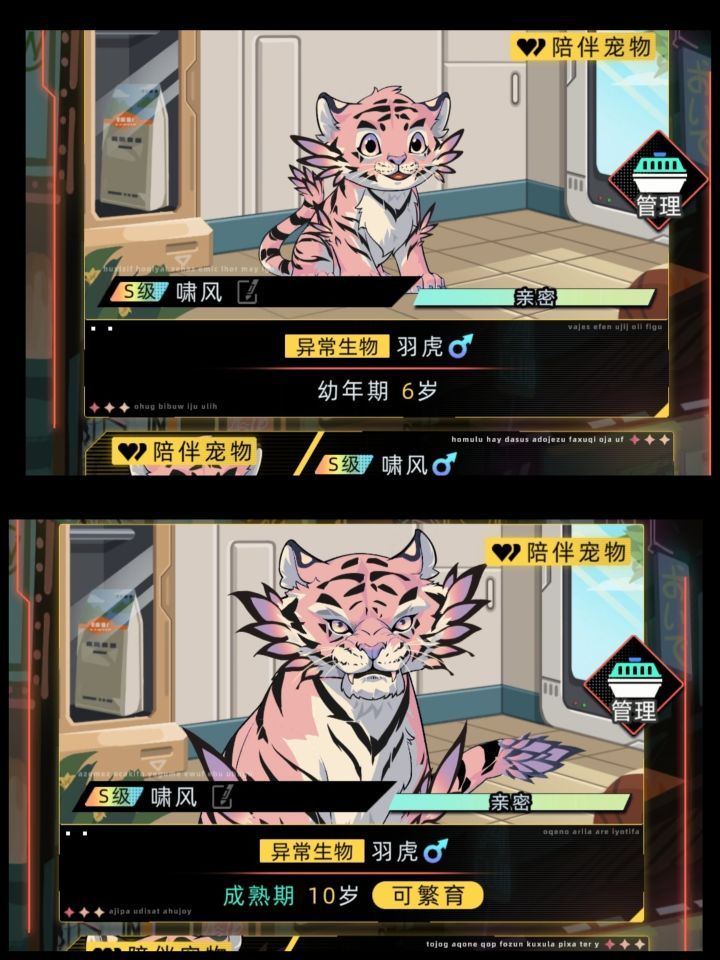 宠物虎长大了就不可爱了
#宠物 #未来人生截图