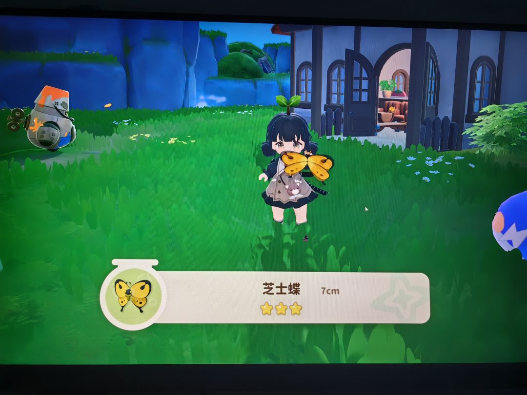 芝士蝶星级显示bug 1