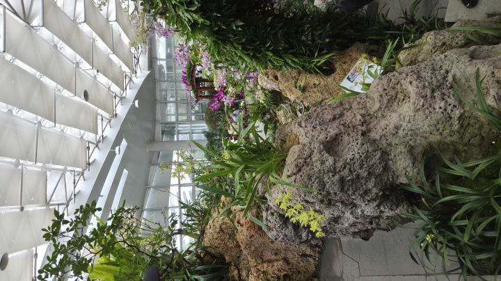我想和爱冻冻一起看花展截图
