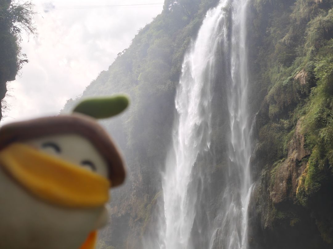 萝来贵州旅游啦! 6