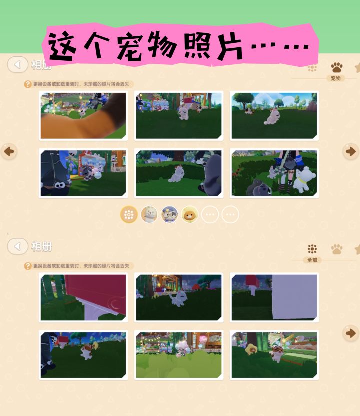 #心动小镇 猫｜相册 全是猫……谁懂截图