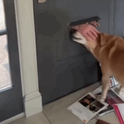 附瘾犯了截图