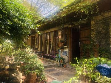 【活动爆料&时间更新】第一期森之茶话会筹办进度同步