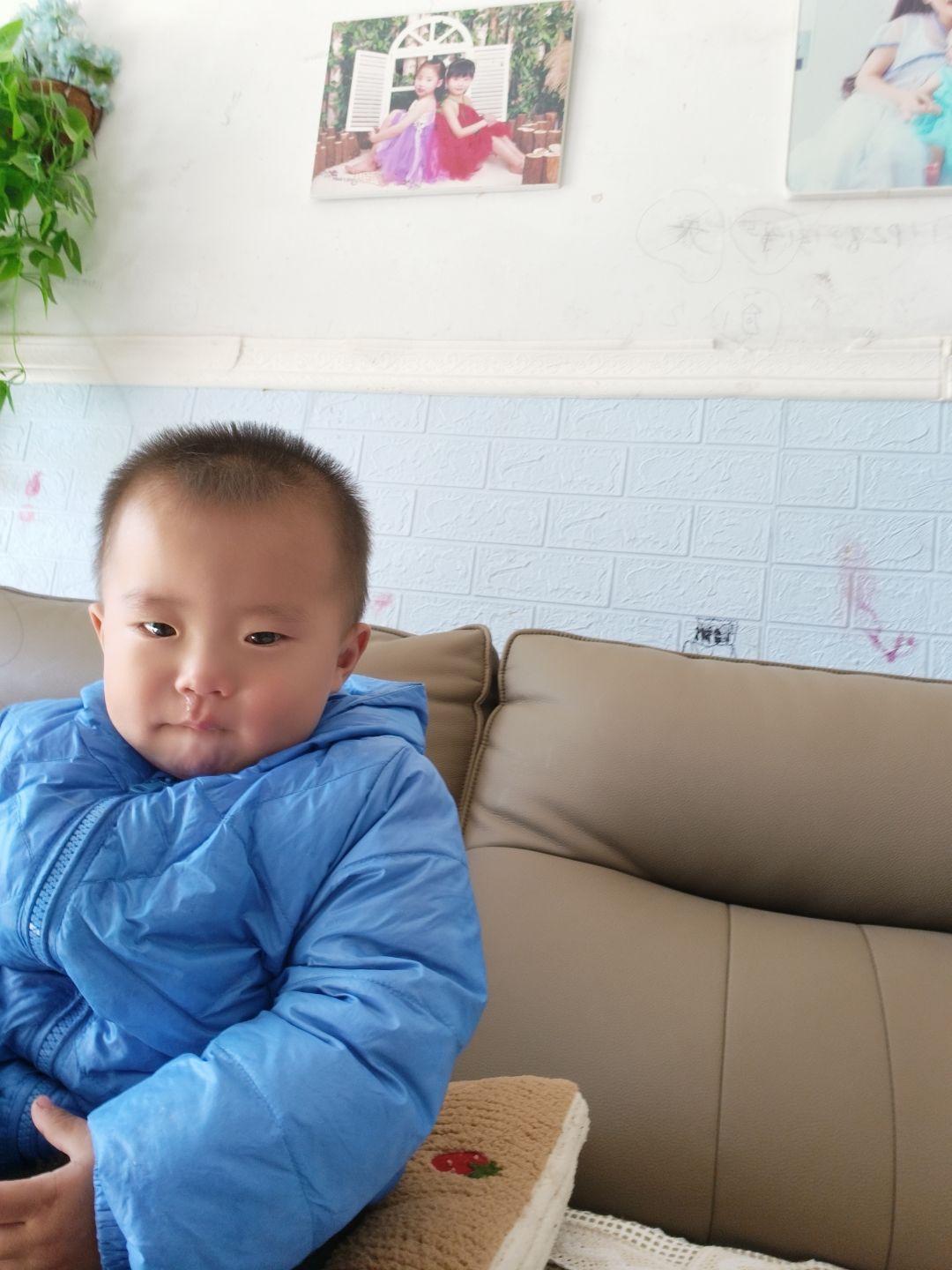 动态图片 1