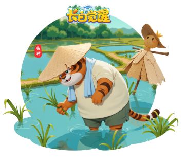 芒种时节，长白小镇的农耕日常