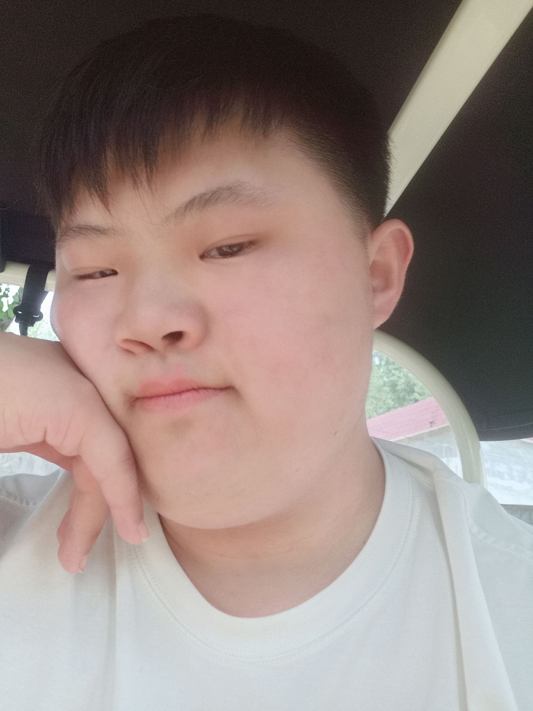动态图片 1