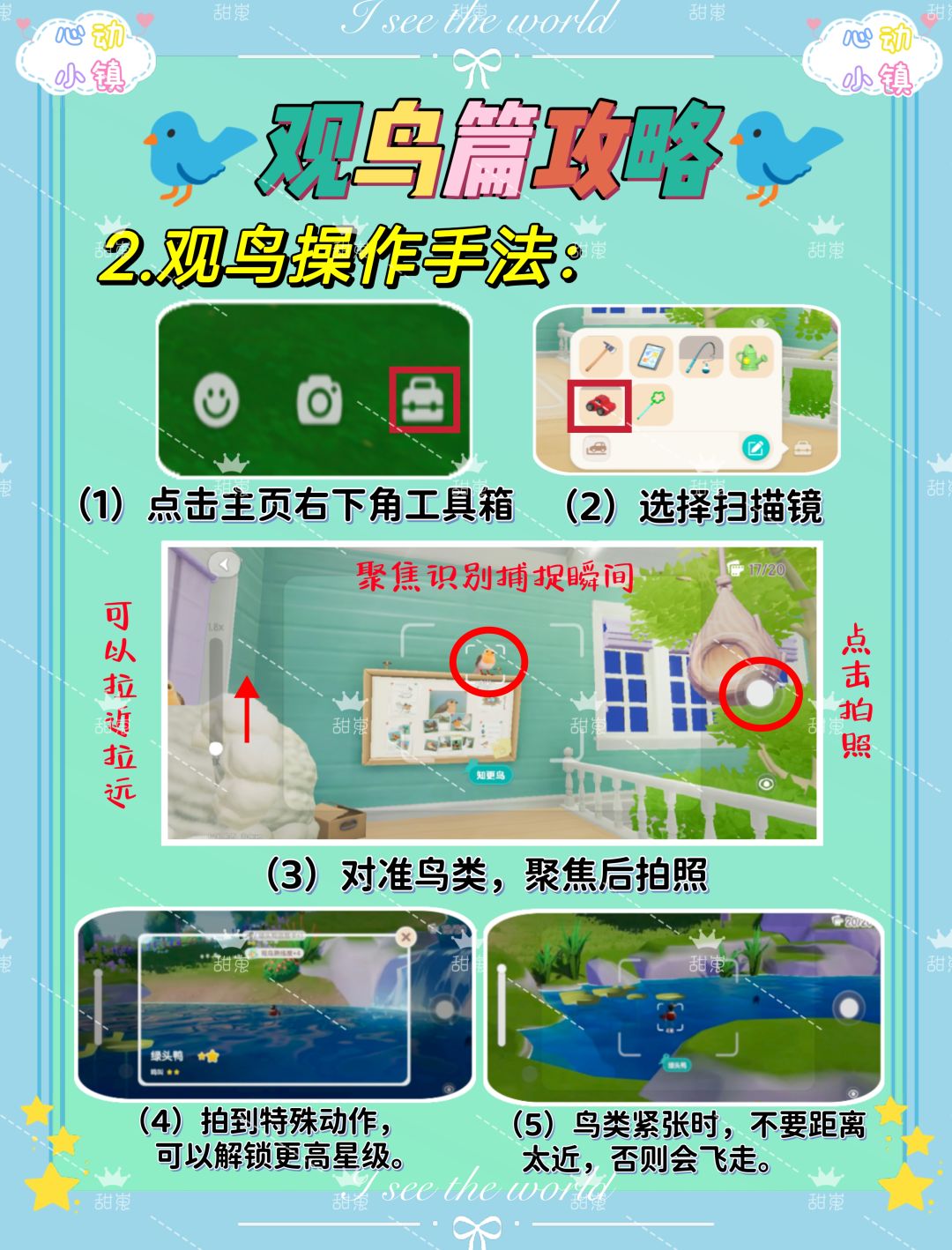 🐦《心动小镇》观鸟爱好攻略 3