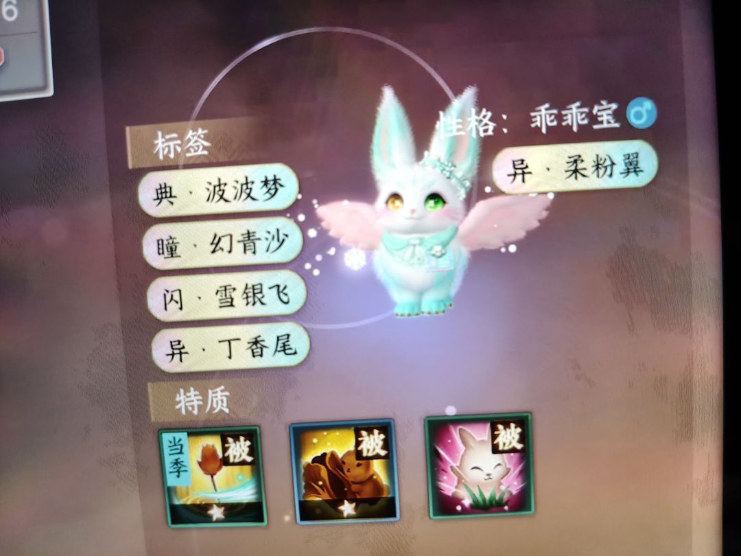一眼心动 1