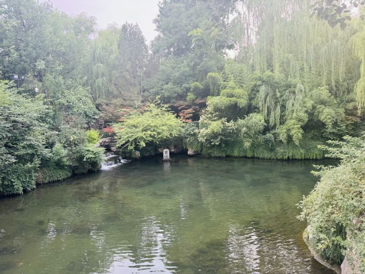 不抱希望了,大家有没有平替游戏推荐截图