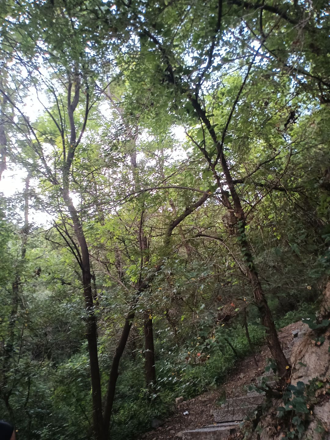 水点帖子吧 1
