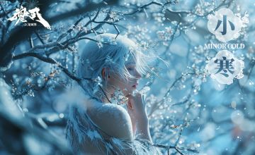 【节气】小寒，一年中最寒冷的日子悄然而至