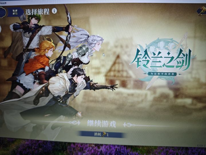 刚入坑，这打不完吗？截图