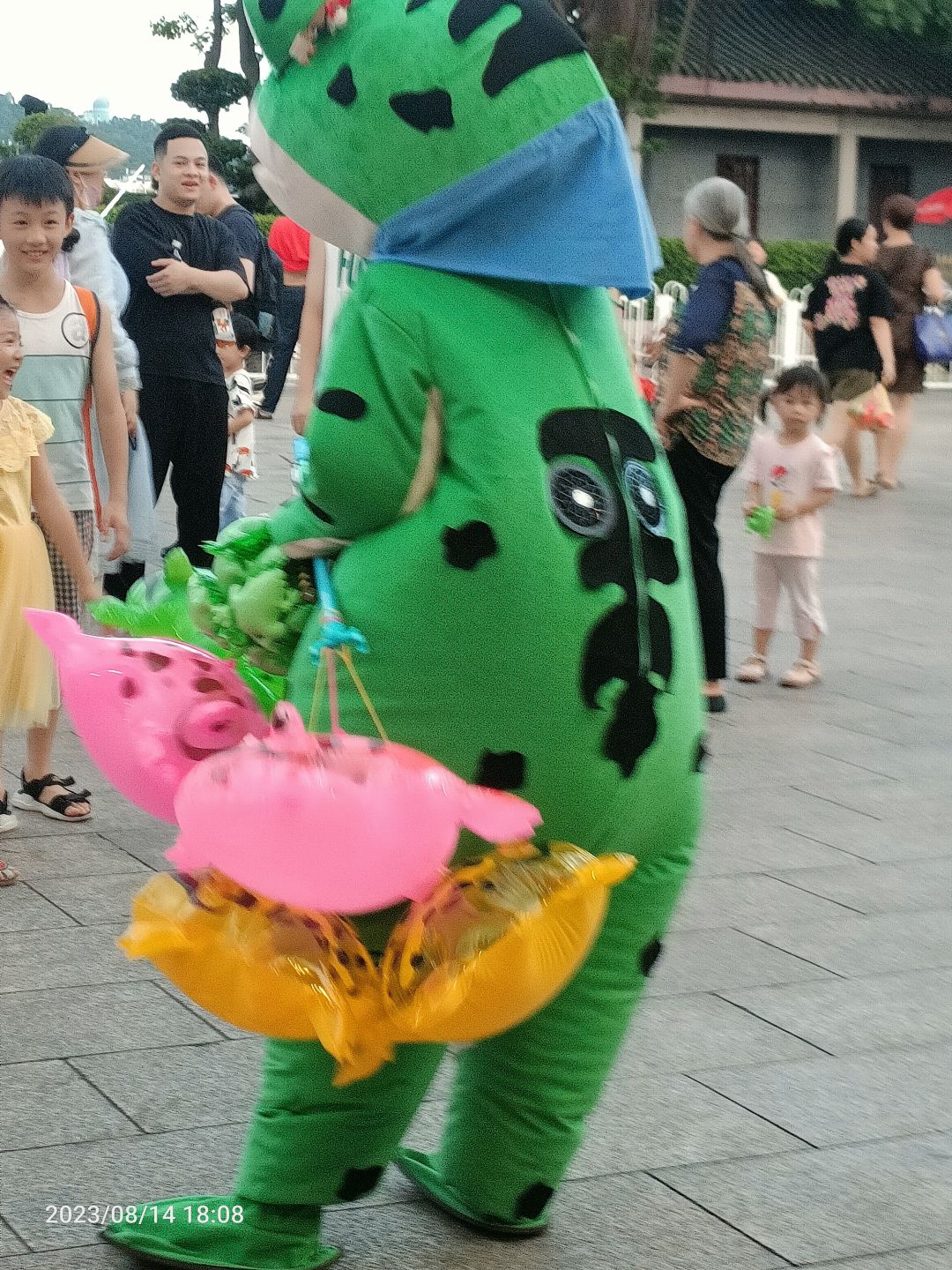 动态图片 2