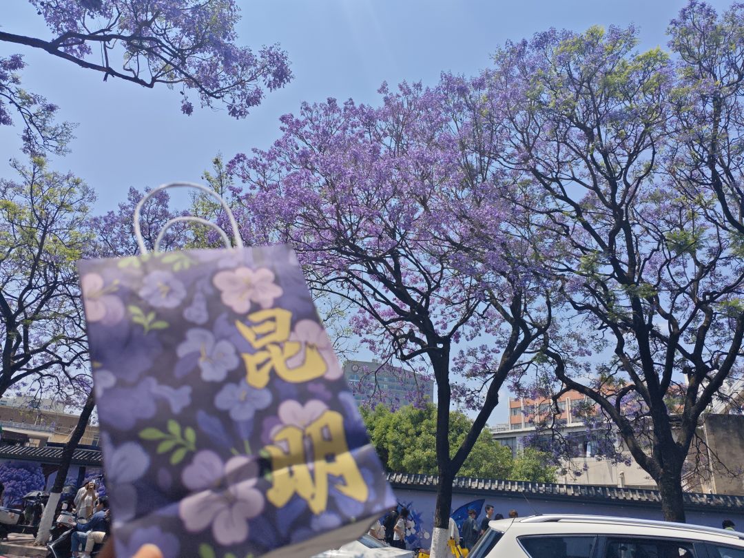 有没有一起玩点小游戏的 1