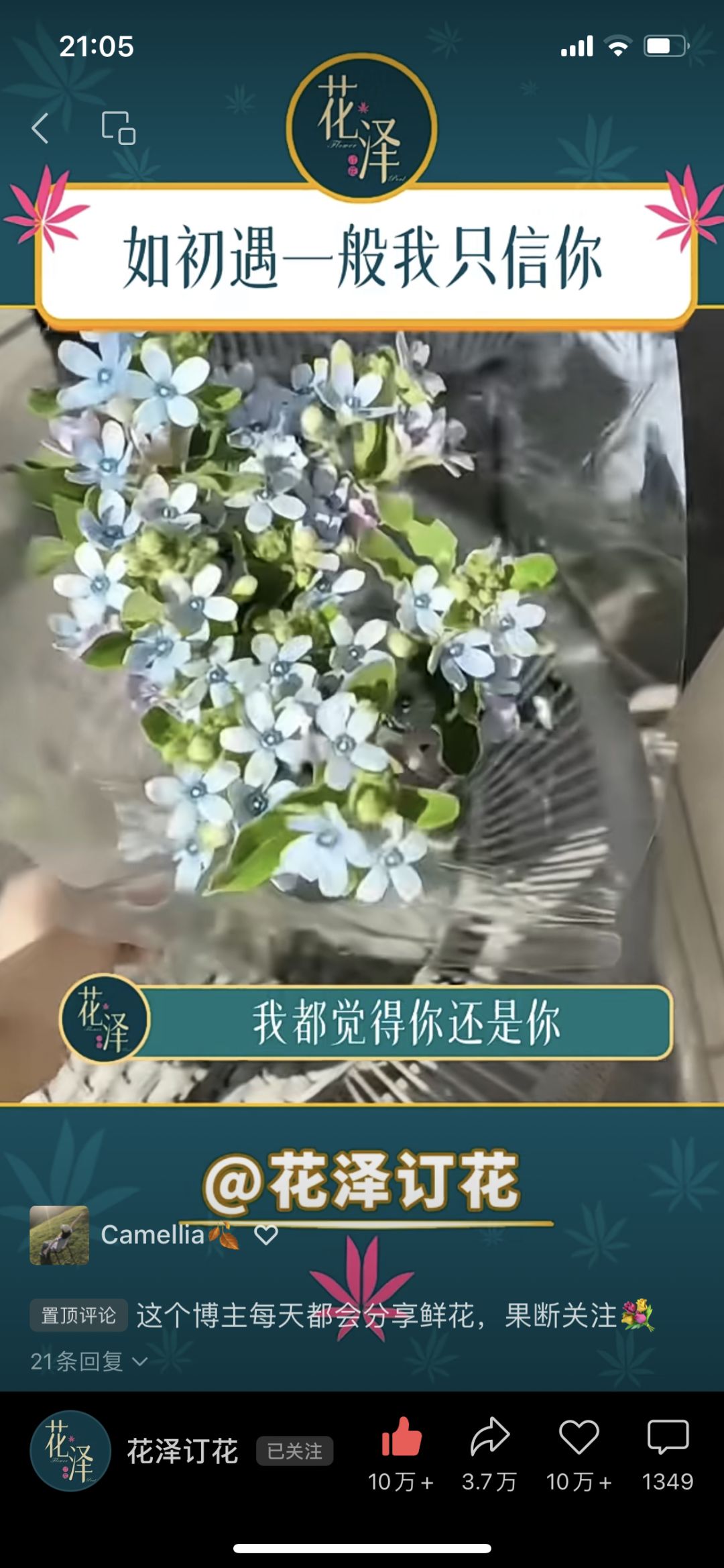感觉M莫很适合互相送这三种花哈 3