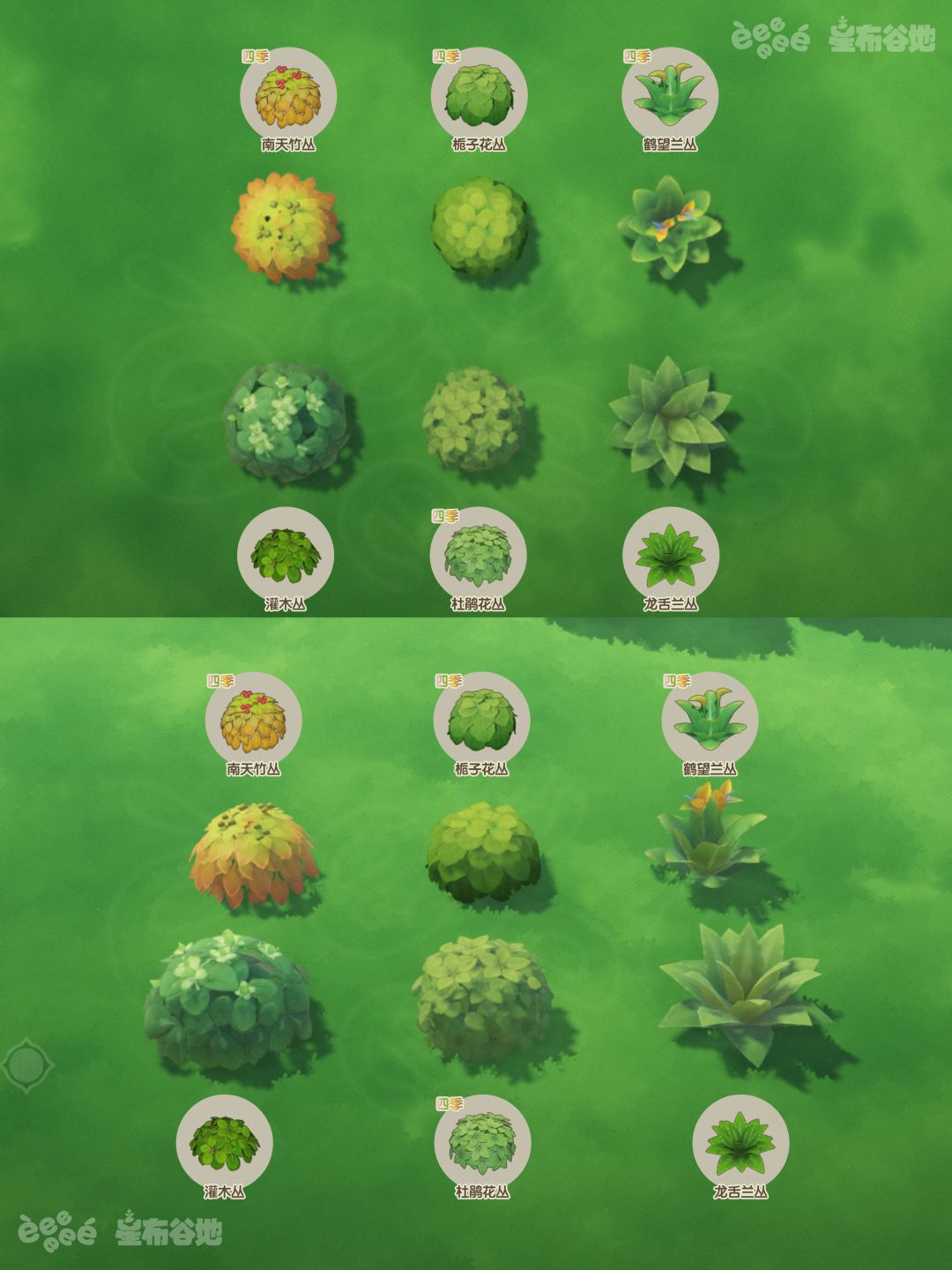 星布谷地植物图鉴(附鹤望兰丛获取方式) 2