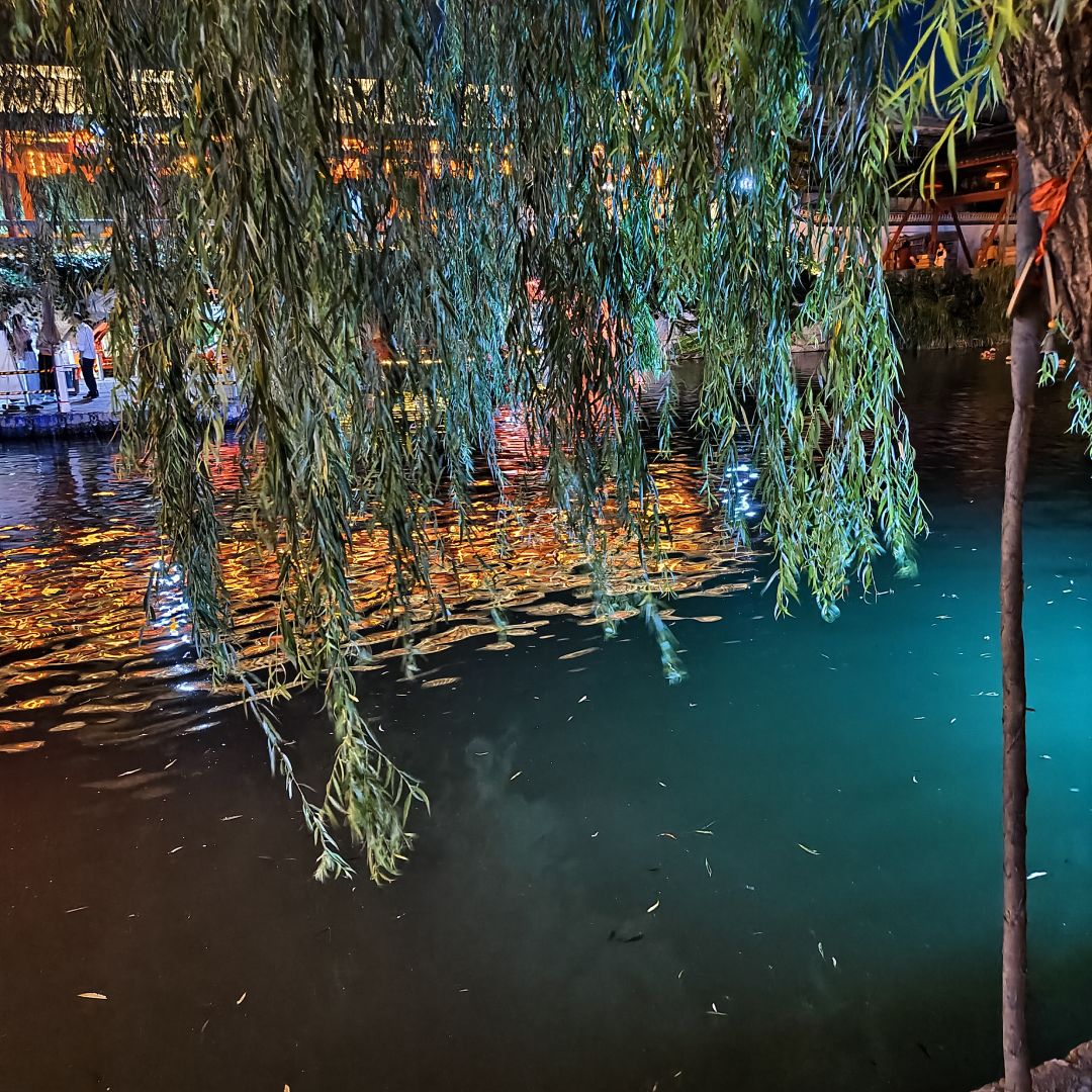 新手入坑第一天之(我在修真写日记) 3