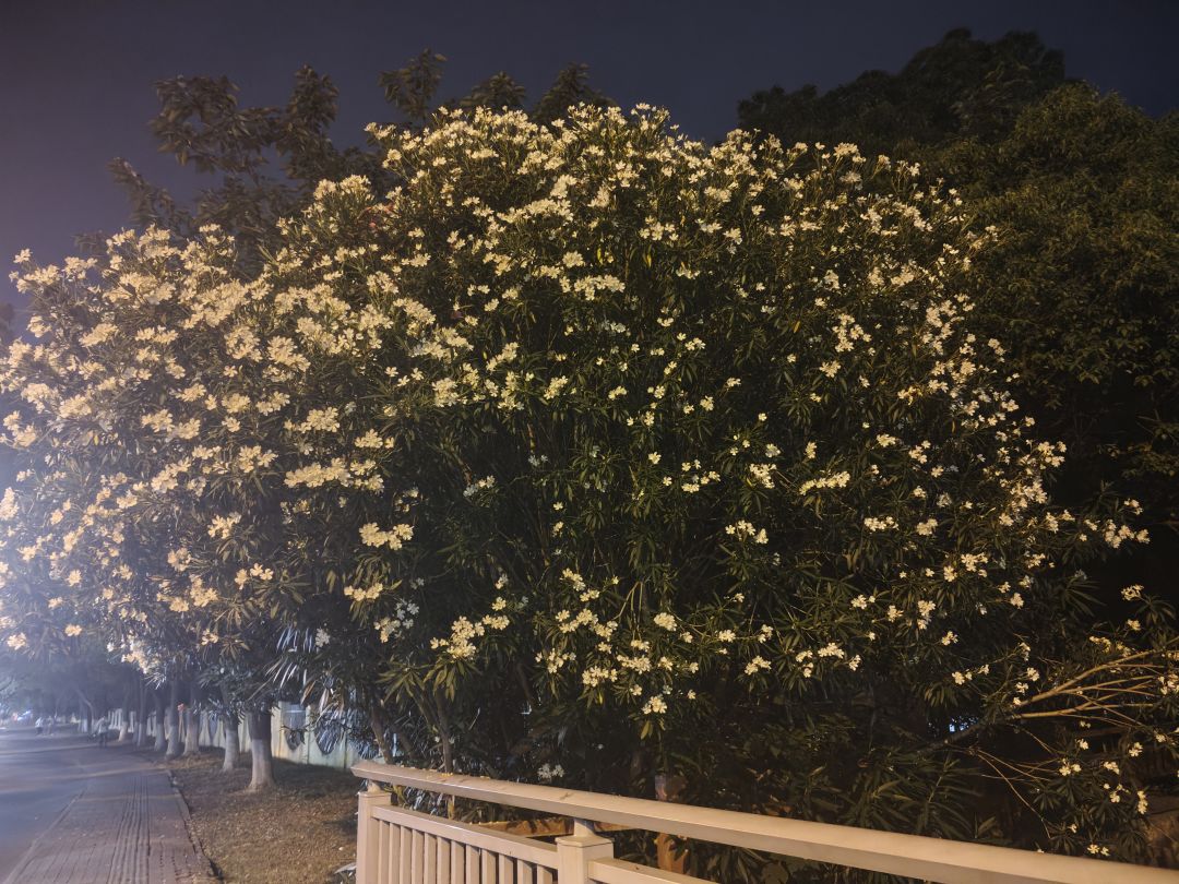 各位义父,还有这类游戏推荐吗 1