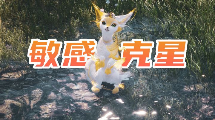能力拔草?五星套装「绯夜狂想录」全面测评截图