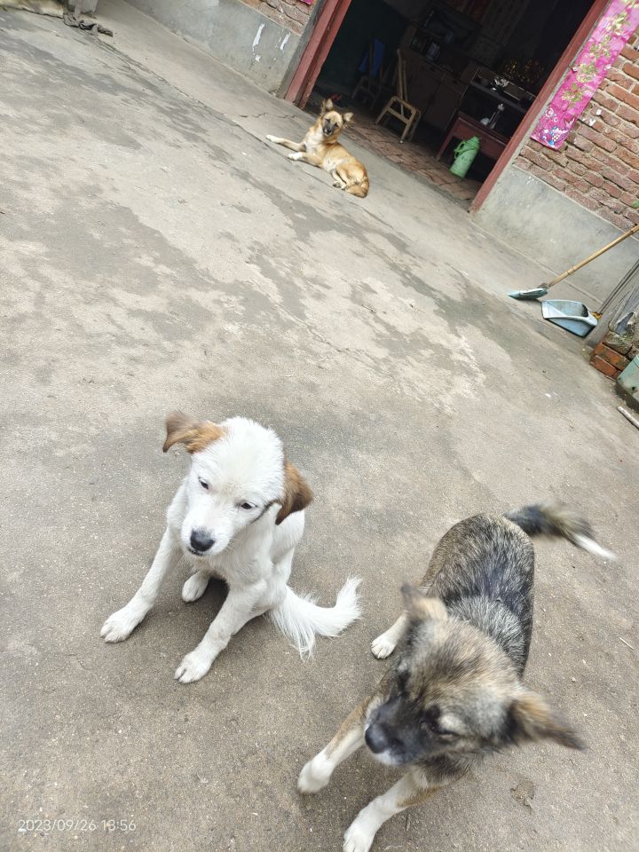 今天是不是有新彩啊截图