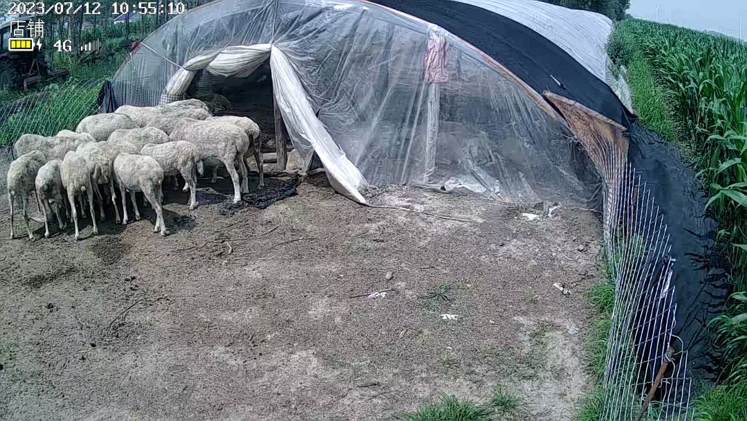 动态图片 5