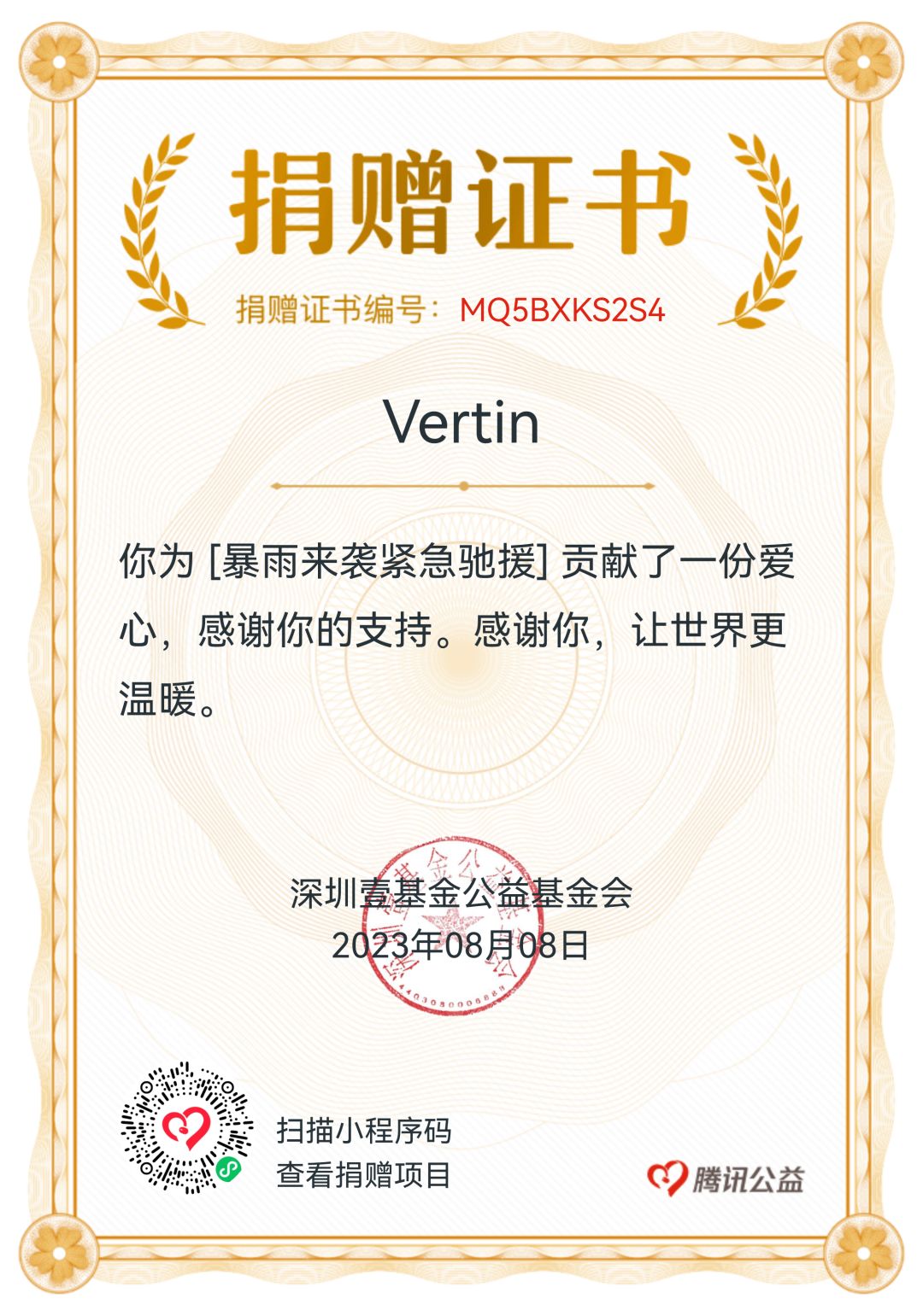暴雨中的小小力量 1