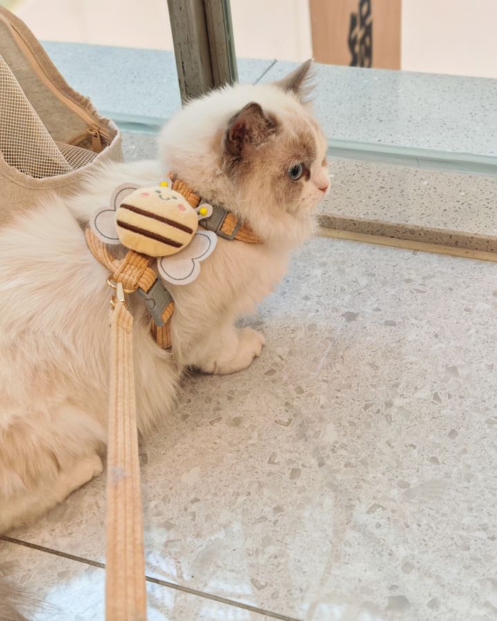 服务器炸了么截图