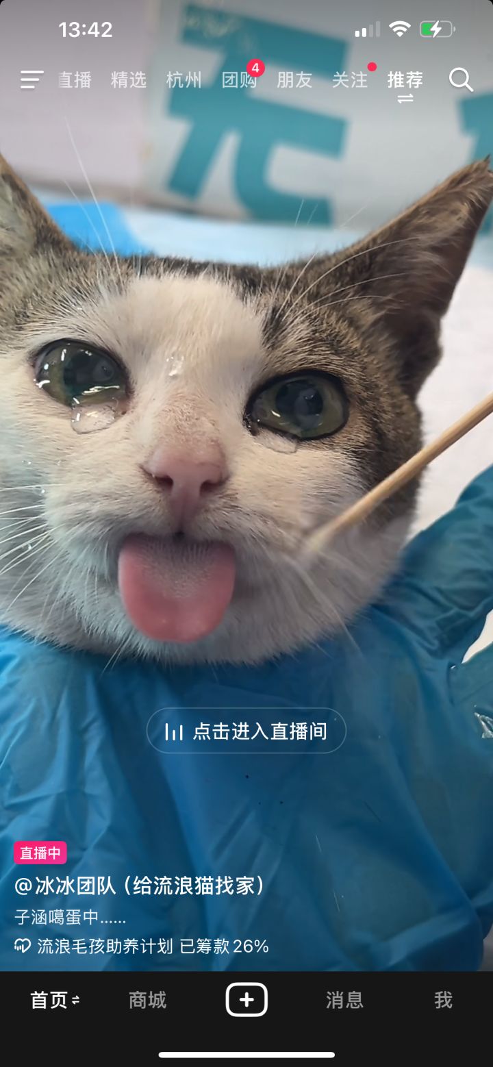希望优化一下圣灵佩戴截图
