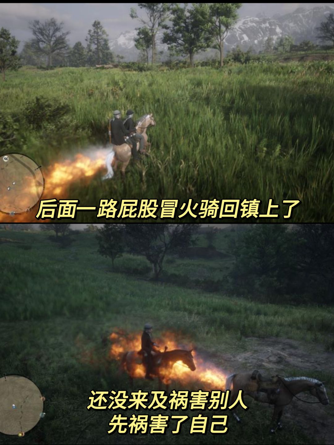 搭子趣事之我们发现一头屁股着火的鹿 3