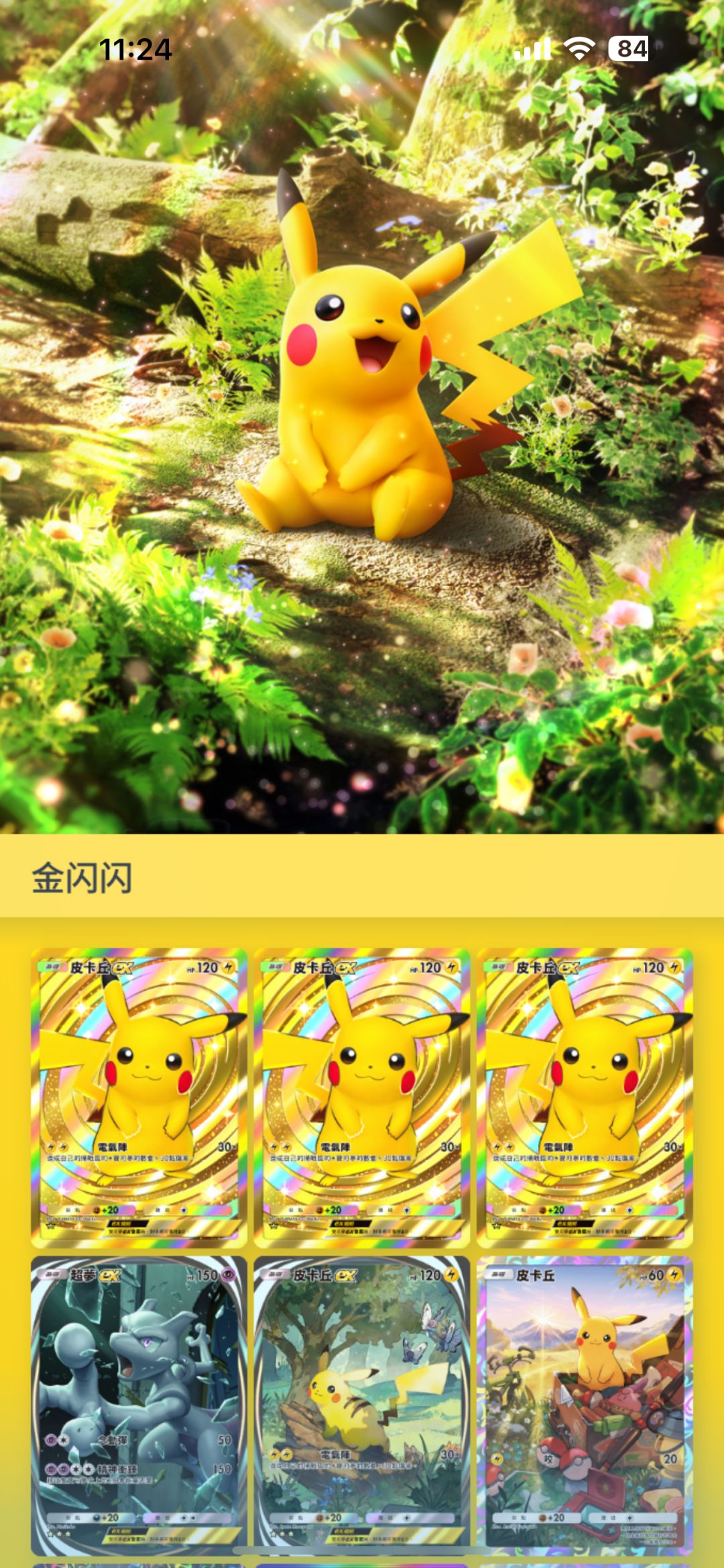 金闪闪 1