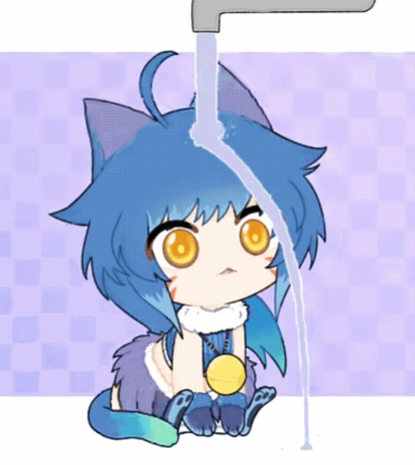 笨猫喝水截图