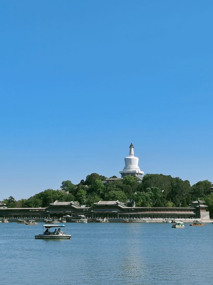 保卫萝卜真的好好玩，停不下来#发现好游戏 #浅评一下截图