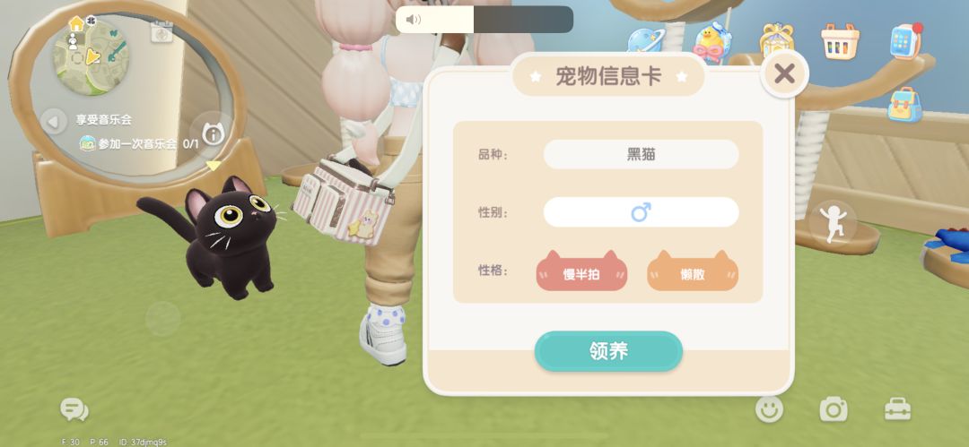 这两只猫 1