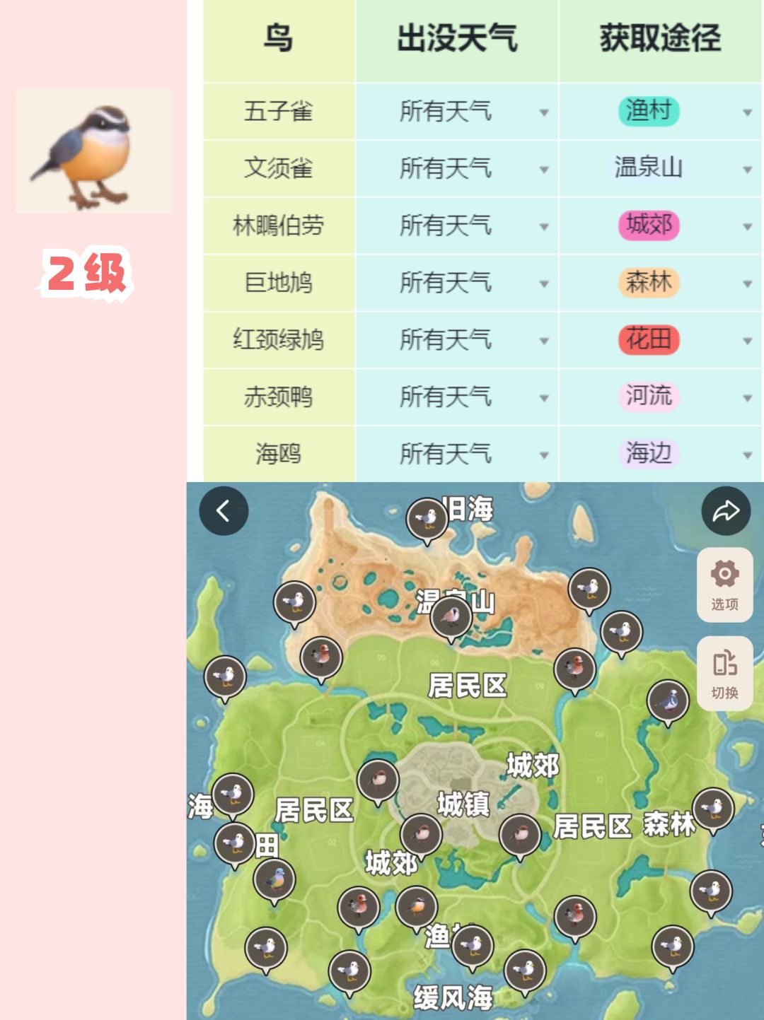 心动小镇观鸟无敌进阶全图鉴攻略(上) 3