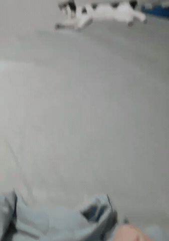 明天有新区吗截图