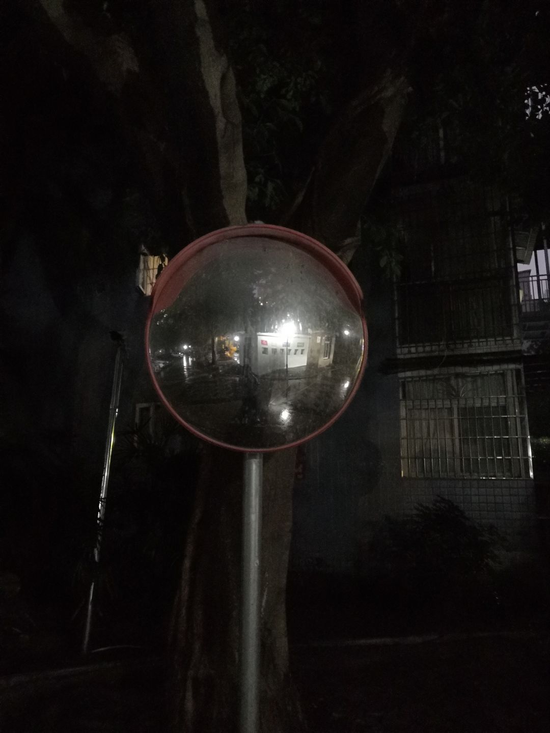 更新一下拍的素材 2